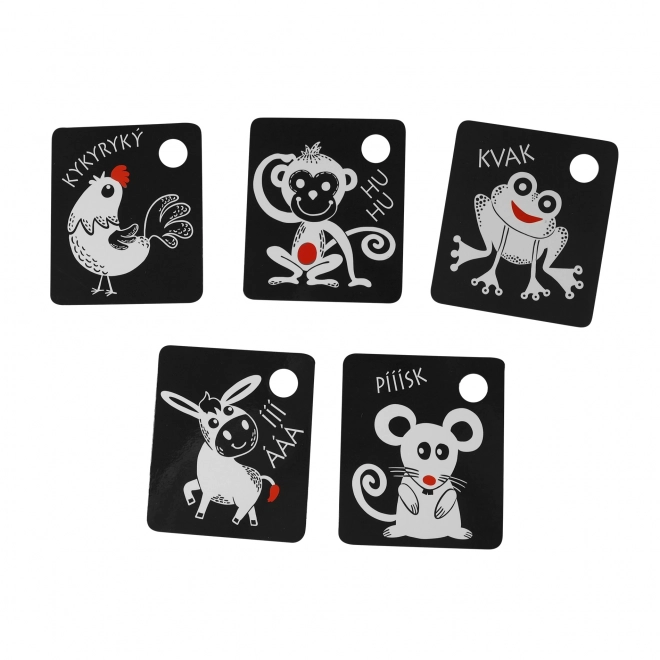 Cartes contrastées pour enfants avec élément coloré