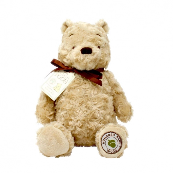 Nounours Peluche Rainbow Winnie l'Ourson de la Forêt des Cent Acres