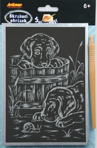 Image à gratter argenté 14x22cm