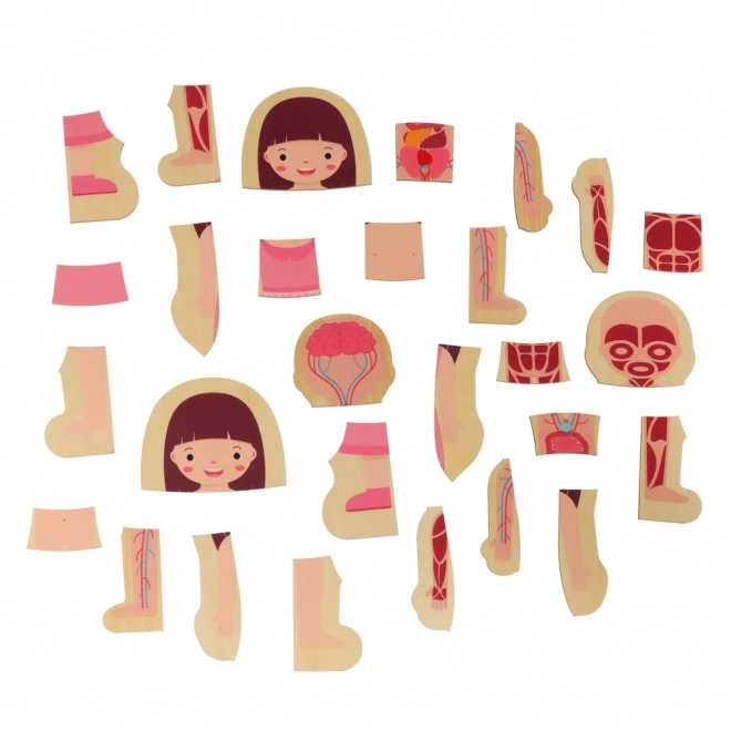 Puzzle en bois Montessori parties du corps - fille