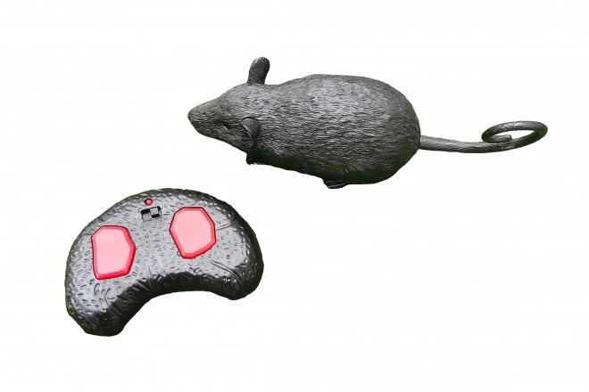 Souris RC télécommandée 22 cm