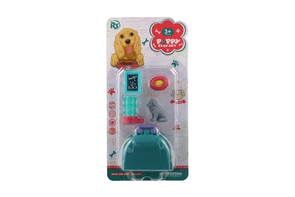 Petit chien avec boîte de transport et accessoires
