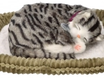 Chaton en peluche respirant – tigré gris