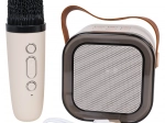 Ensemble karaoké avec microphone sans fil et haut-parleur Bluetooth portable avec RGB