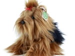 Chien en peluche Yorkshire Terrier Eco Friendly