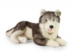 Chien husky en peluche couché 60 cm ECO‑FRIENDLY de RAPPA