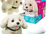Woopie chiot en peluche interactif avec os (bichon ou golden retriever)