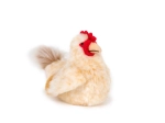 Poule en peluche assise 23 cm