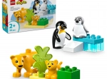 LEGO DUPLO Familles d’animaux sauvages : manchots et lions