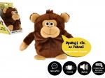 Singe en peluche Tonička qui répète les phrases 18 cm avec son