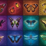 Beaux insectes ailés puzzle 2D 1000 pièces