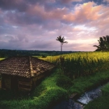 Puzzle Champs de Riz Bali 500 pièces