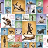 Puzzle Yoga des Chats 1000 pièces