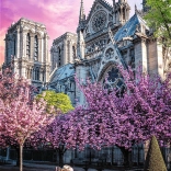 Puzzle TREFL Premium Plus Photo Odyssey – cathédrale Notre‑Dame à Paris (1000 pièces)