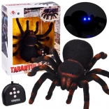 Tarantule RC – araignée réaliste télécommandée