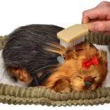 Perfect Petzzz chiot qui ronfle Yorkshire Terrier