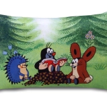 Coussin Krtek lecteurs 45x30