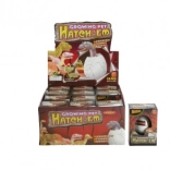 Œuf avec dinosaure à mettre dans l’eau – dinosaure éclos