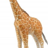 Puzzle 3D métallique girafe
