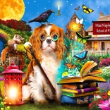 Puzzle École de magie 1000 pièces