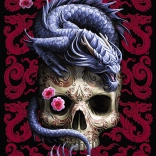 TREFL premium plus puzzle – dragon oriental (1000 pièces)