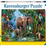 Puzzle Ravensburger Éléphants dans l’oasis 150 pièces