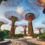 Ravensburger puzzle Super Arbres à Singapour 1500 pièces