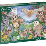Puzzle FALCON hiboux dans la forêt, 1000 pièces
