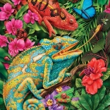 Puzzle Caméléons colorés 1000 pièces