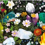 Puzzle Cristaux Guérisseurs 500 pièces