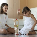 Milaniwood palais amusant