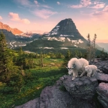 Ravensburger puzzle chèvres alpines – 3000 pièces