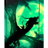 Chemises pour cahiers scolaires A4 avec motif dragon BAAGL