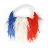 Barbe de carnaval tricolore