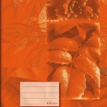 Cahier scolaire A4 ligné 20 feuilles orange