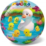 Balle Canards 14 cm