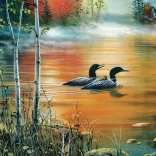 Puzzle Brume matinale 1000 pièces de COBBLE HILL