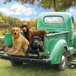 Puzzle Cobble Hill Pojďme Pêcher 500 Pièces