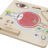 Masterkidz Tableau Éducatif Vue Montessori