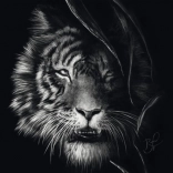 Puzzle Schmidt Fureur du tigre – incarnation de la liberté 1000 pièces