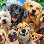 puzzle schmidt selfie de chiens 500 pièces