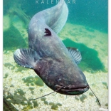 Calendrier mural Pêcheur 2026