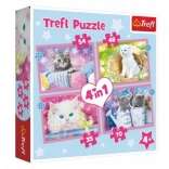 Puzzle 4-en-1 Chatons joyeux