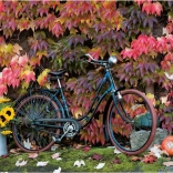 Puzzle La magie de l’automne 1000 pièces PIATNIK