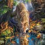 Puzzle 1500 pièces – loup