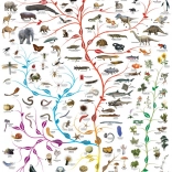 Puzzle EUROGRAPHICS L’Arbre de la vie 1000 pièces