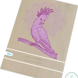 Cahier scolaire A4 pages blanches 20 feuilles Perroquet Papírny Brno