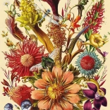 Puzzle Fleurs Bouquet Féérique 1000 Pièces