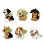 Chien en peluche ECO Friendly - 11 cm