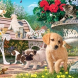 Puzzle ANATOLIAN cache-cache – 260 pièces